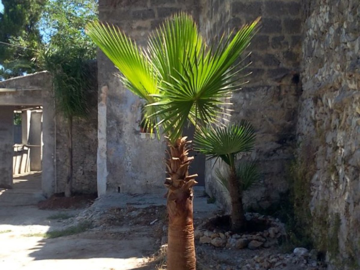 Villa for Sale Carini Palermo, Sale Villa Carini