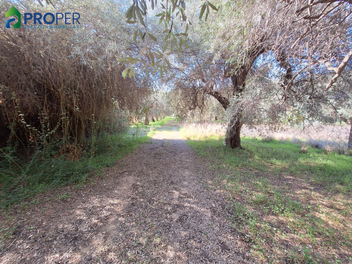 Villa for Sale Terrasini Palermo, Sale Villa Terrasini