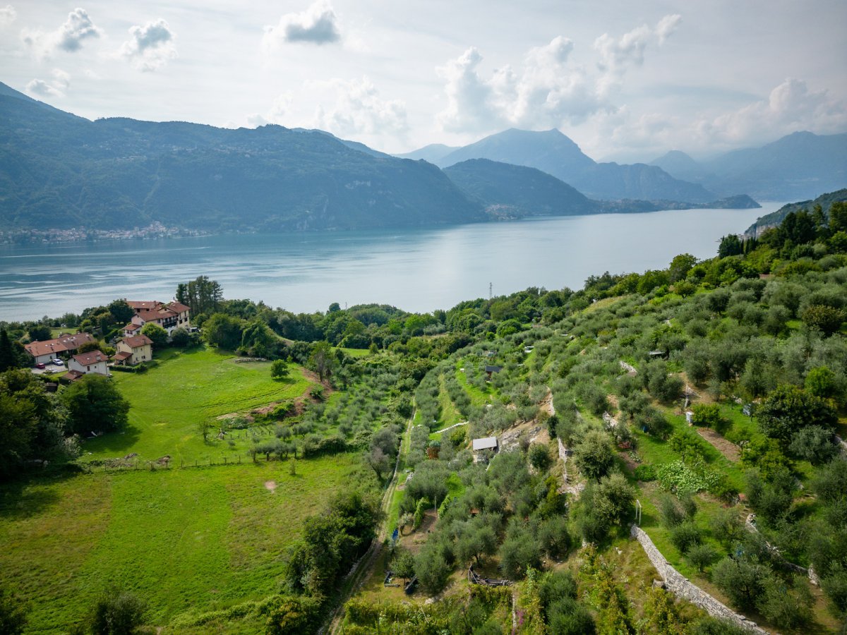 Building area for Sale Mandello del Lario Lecco, Sale Building area Mandello del Lario