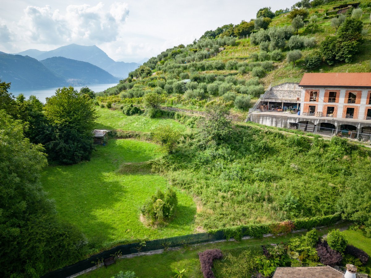 Building area for Sale Mandello del Lario Lecco, Sale Building area Mandello del Lario