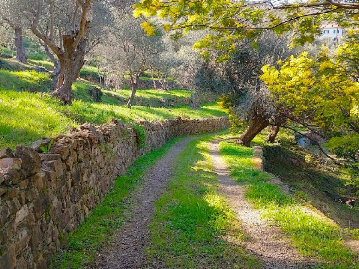 Cottage/Hamlet for Sale Vallebona Imperia, Sale Cottage/Hamlet Vallebona