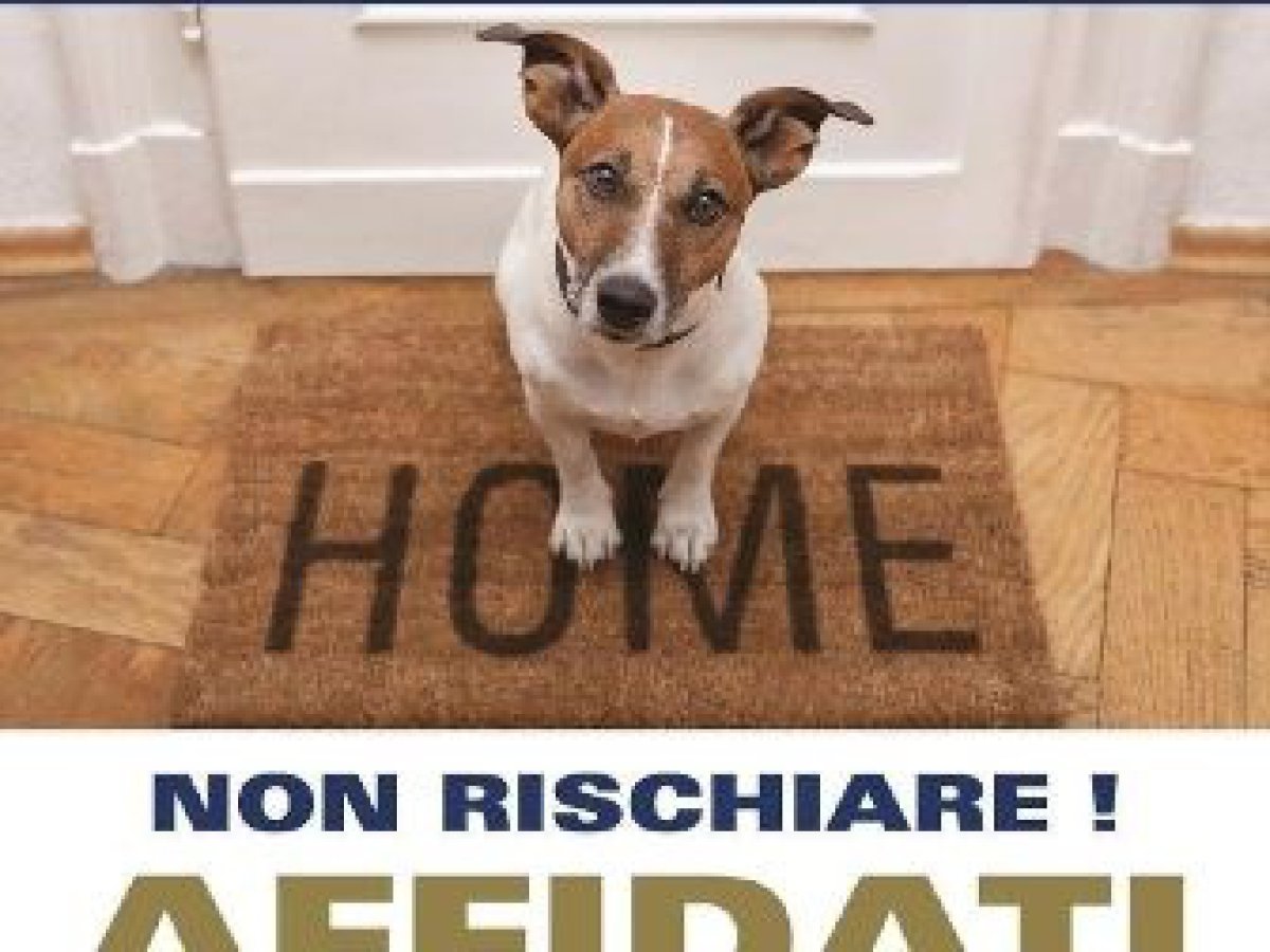 Block of flats/Building for Sale Avellino Avellino, Sale Block of flats/Building Avellino