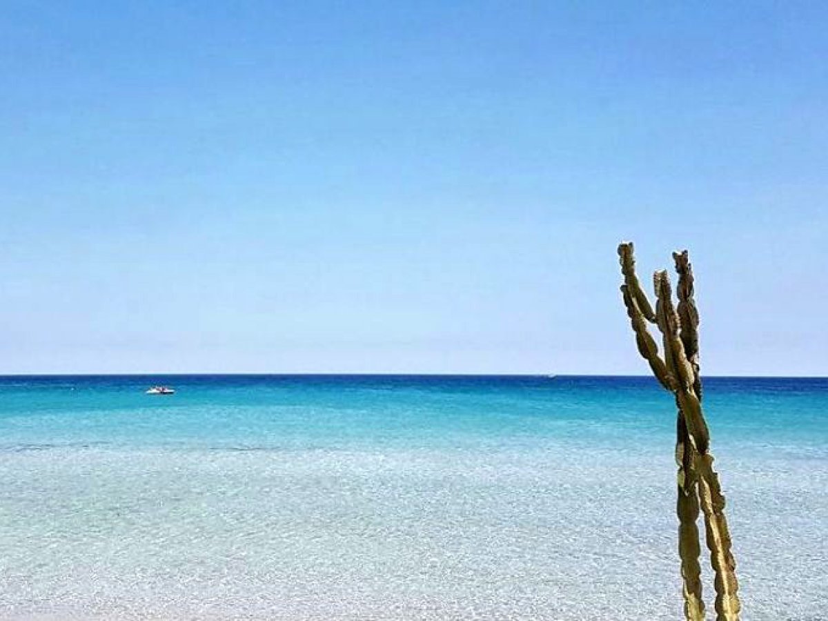 Apartament/Flats for Sale Pachino Siracusa, Sale Apartament/Flats Pachino