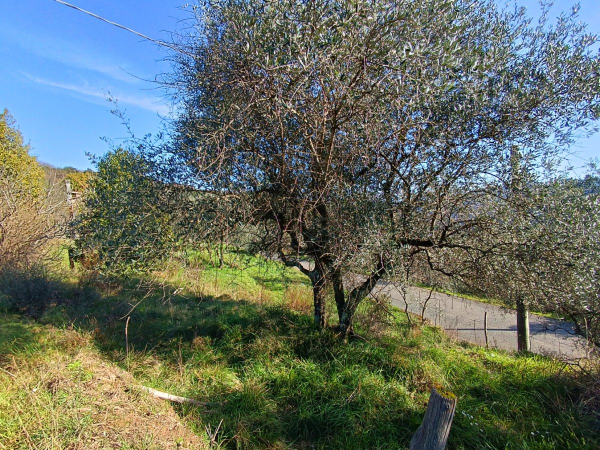 Apartament/Flats for Sale Follo La Spezia, Sale Apartament/Flats Follo
