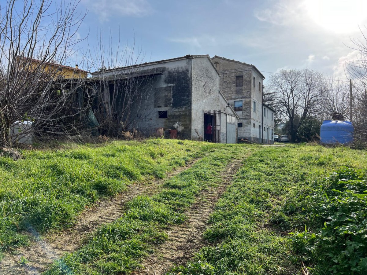 Cottage/Hamlet for Sale Serra de' Conti Ancona, Sale Cottage/Hamlet Serra de' Conti