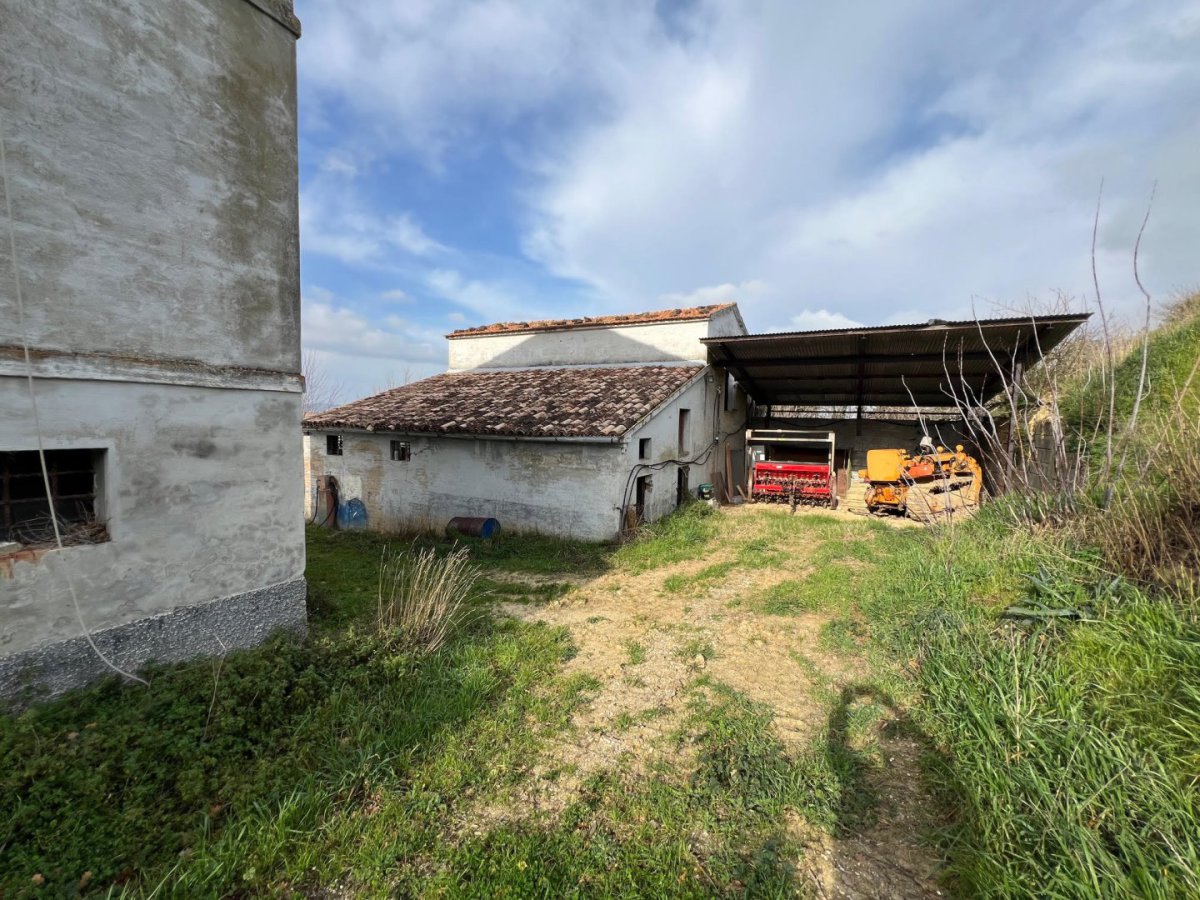 Cottage/Hamlet for Sale Serra de' Conti Ancona, Sale Cottage/Hamlet Serra de' Conti