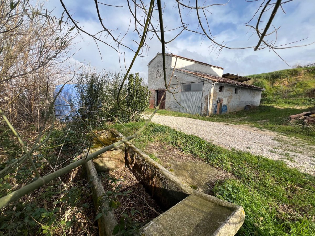 Cottage/Hamlet for Sale Serra de' Conti Ancona, Sale Cottage/Hamlet Serra de' Conti