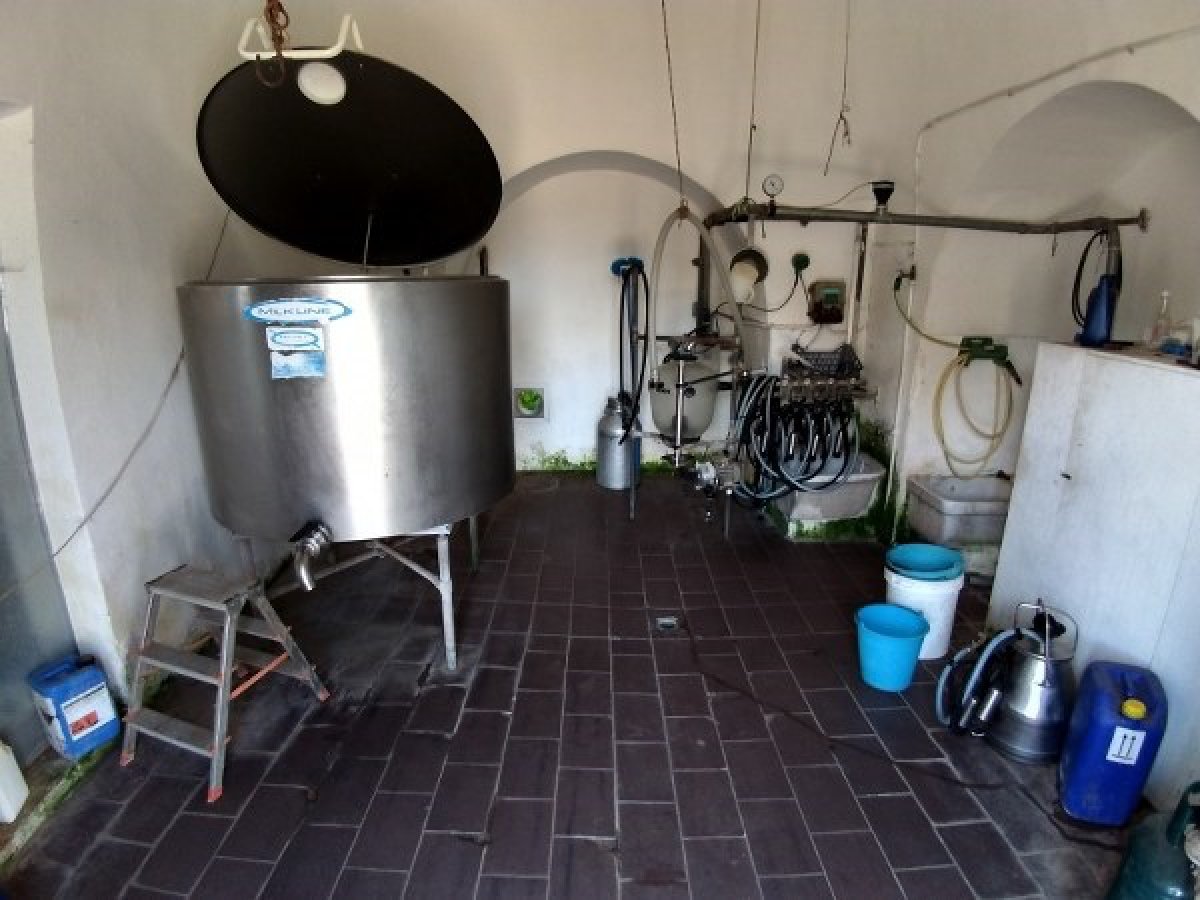 Cottage/Hamlet for Sale Alberobello Bari, Sale Cottage/Hamlet Alberobello