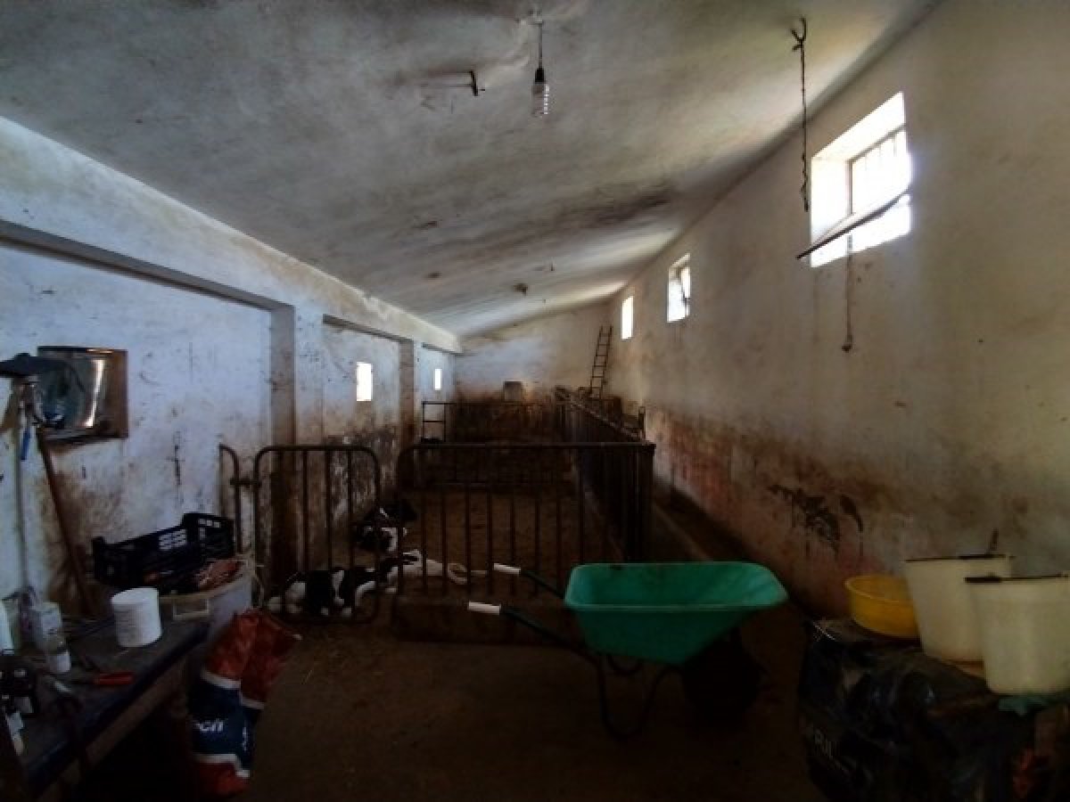 Cottage/Hamlet for Sale Alberobello Bari, Sale Cottage/Hamlet Alberobello