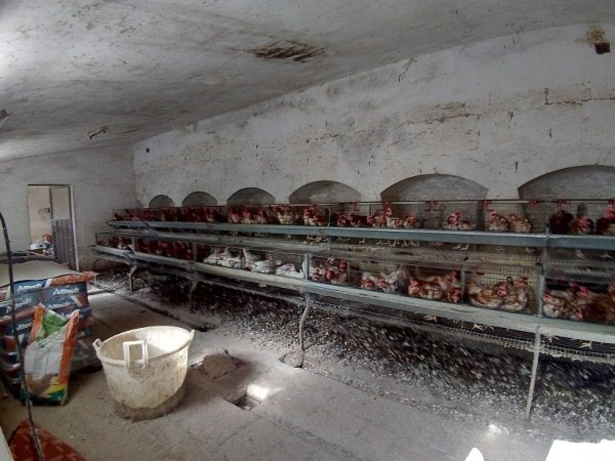 Cottage/Hamlet for Sale Alberobello Bari, Sale Cottage/Hamlet Alberobello