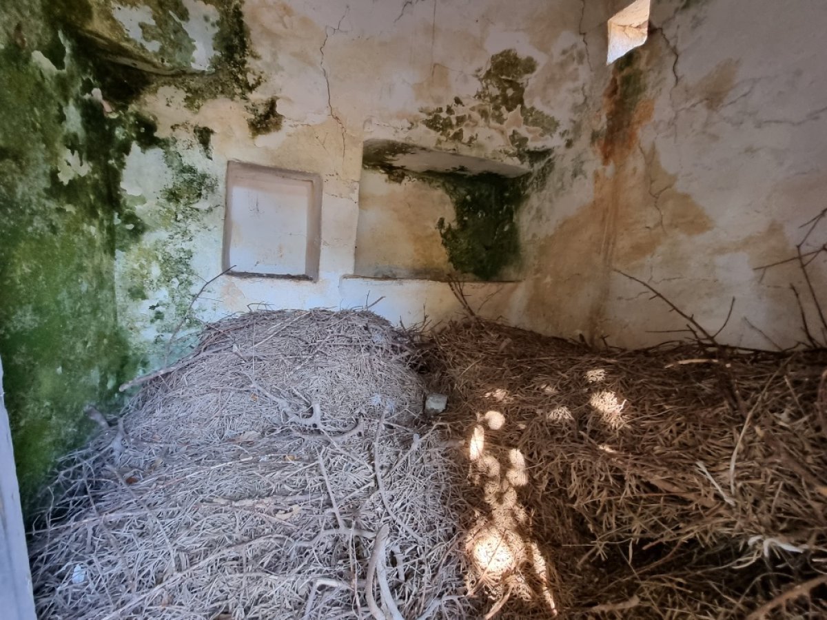 Cottage/Hamlet for Sale Ostuni Brindisi, Sale Cottage/Hamlet Ostuni