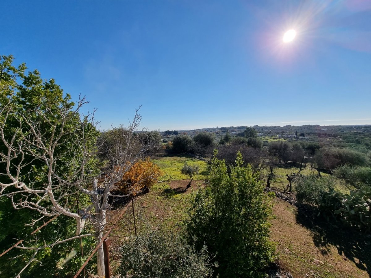 Cottage/Hamlet for Sale Ostuni Brindisi, Sale Cottage/Hamlet Ostuni