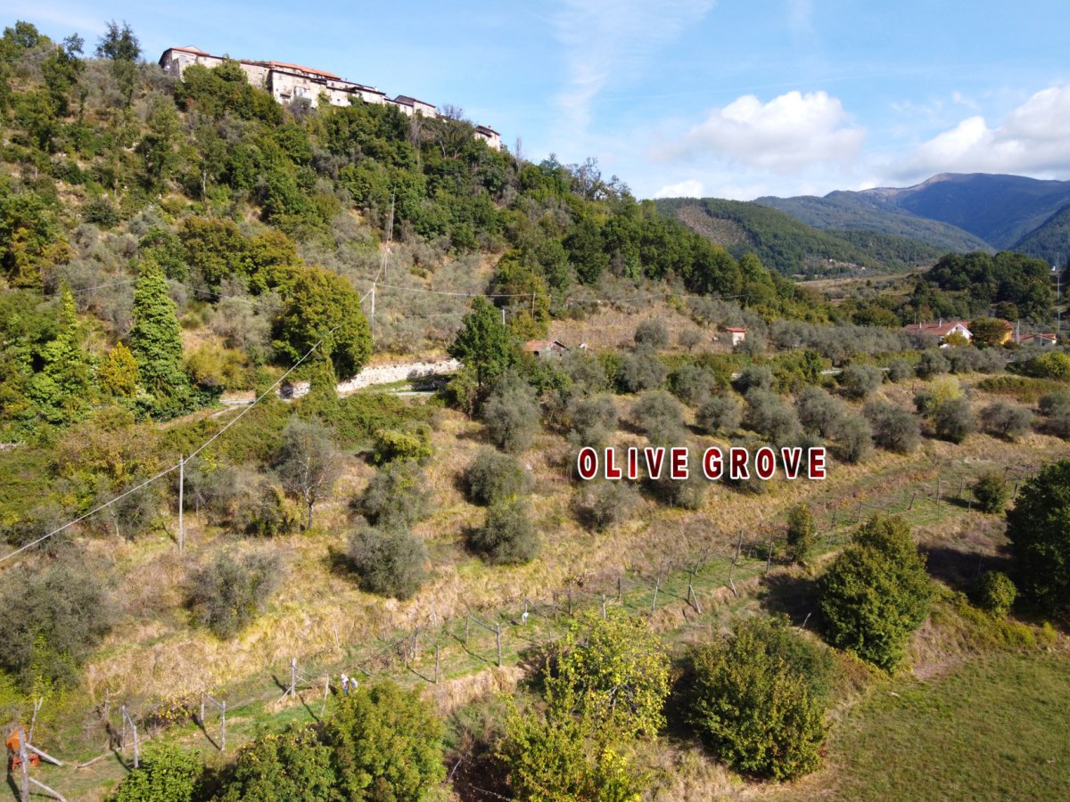 Cottage/Hamlet for Sale Casola in Lunigiana Massa-Carrara, Sale Cottage/Hamlet Casola in Lunigiana