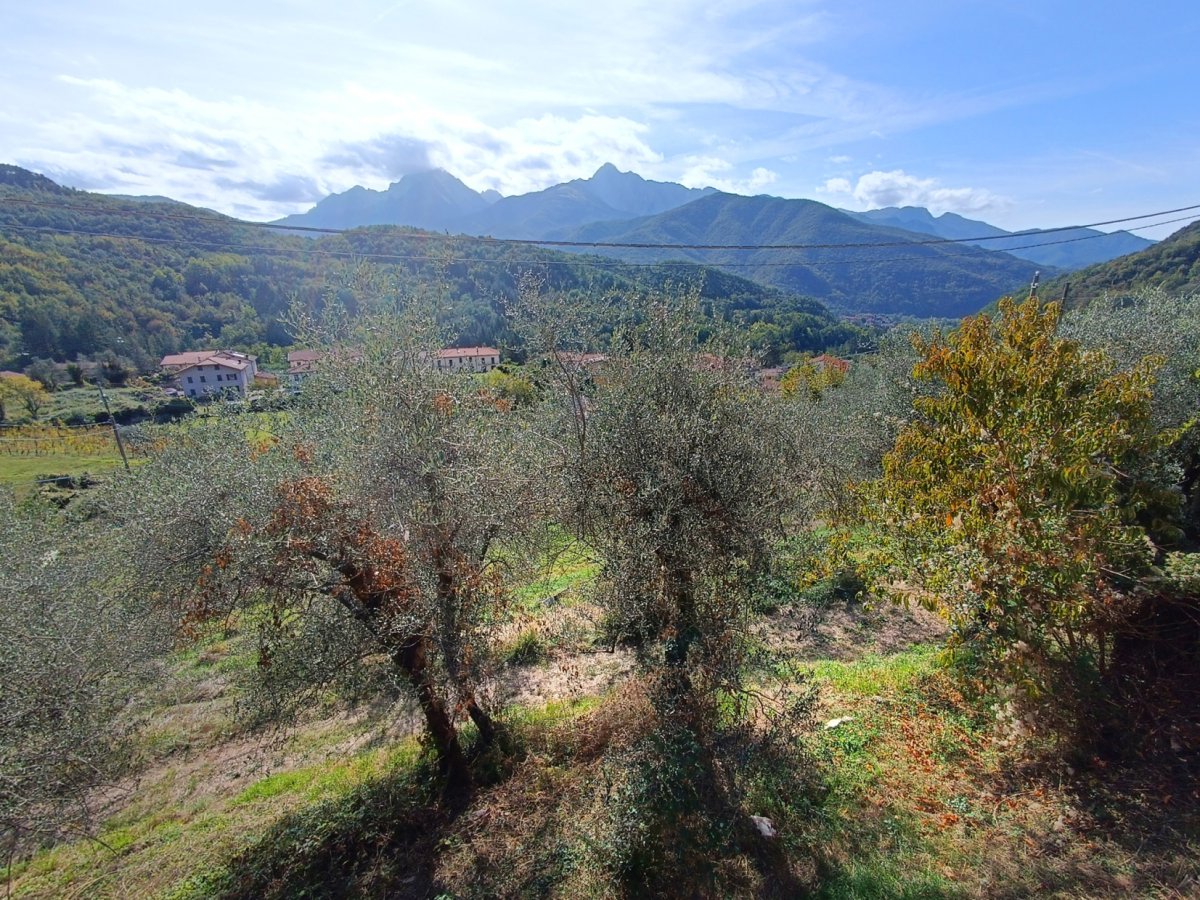 Cottage/Hamlet for Sale Casola in Lunigiana Massa-Carrara, Sale Cottage/Hamlet Casola in Lunigiana