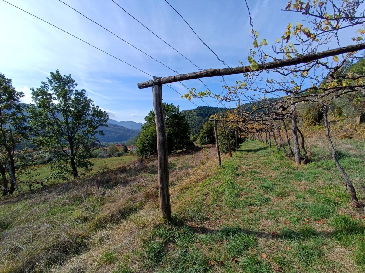 Cottage/Hamlet for Sale Casola in Lunigiana Massa-Carrara, Sale Cottage/Hamlet Casola in Lunigiana