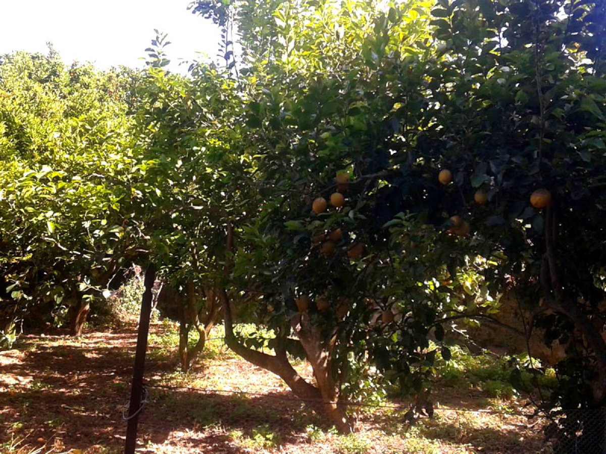 Cottage/Hamlet for Sale Lipari Messina, Sale Cottage/Hamlet Lipari