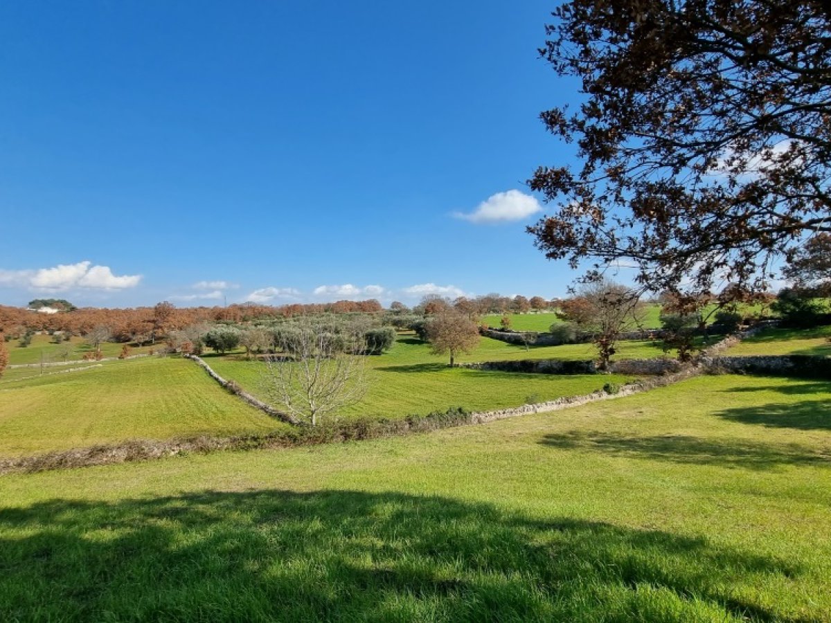 Cottage/Hamlet for Sale Martina Franca Taranto, Sale Cottage/Hamlet Martina Franca