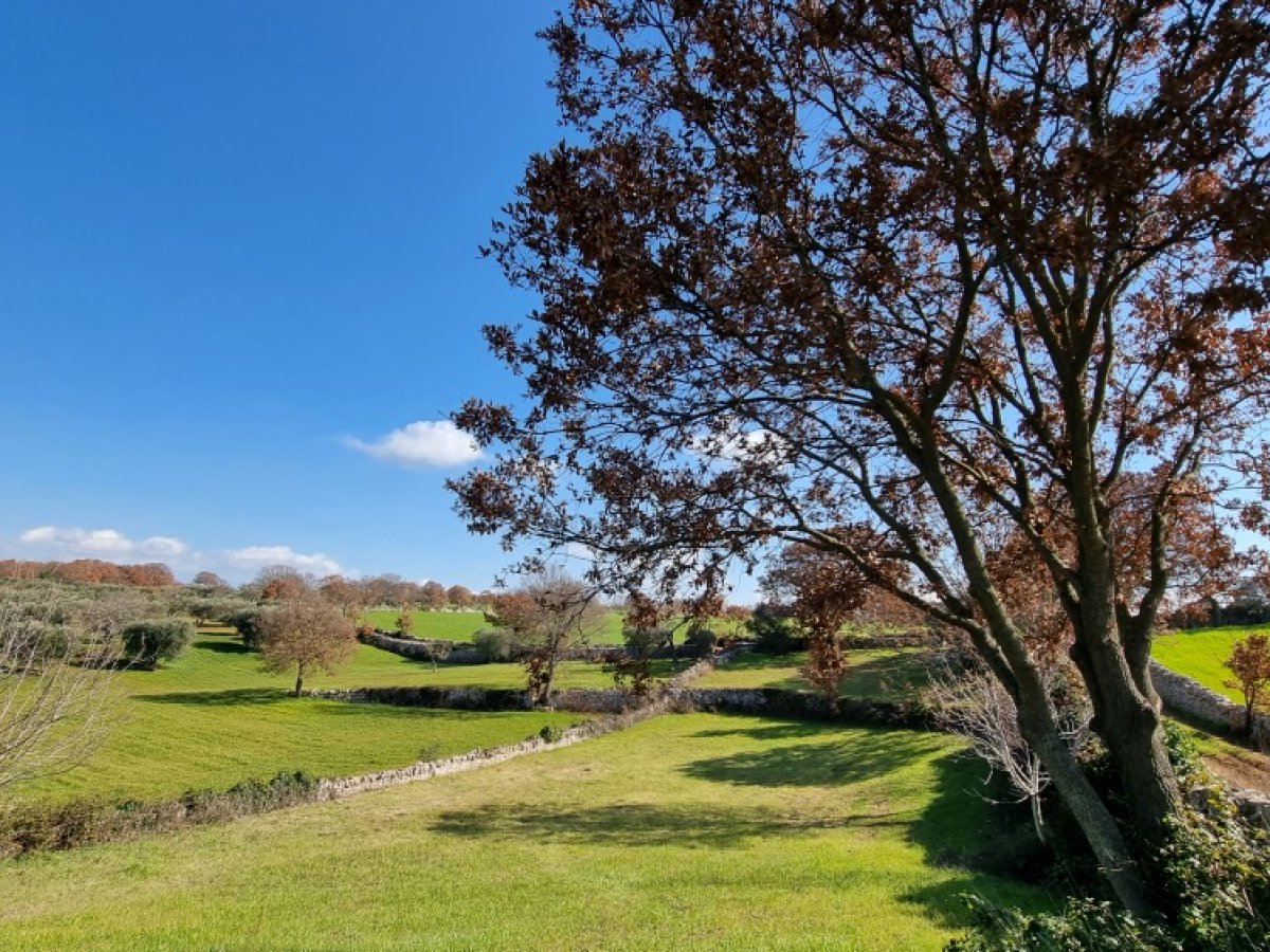 Cottage/Hamlet for Sale Martina Franca Taranto, Sale Cottage/Hamlet Martina Franca