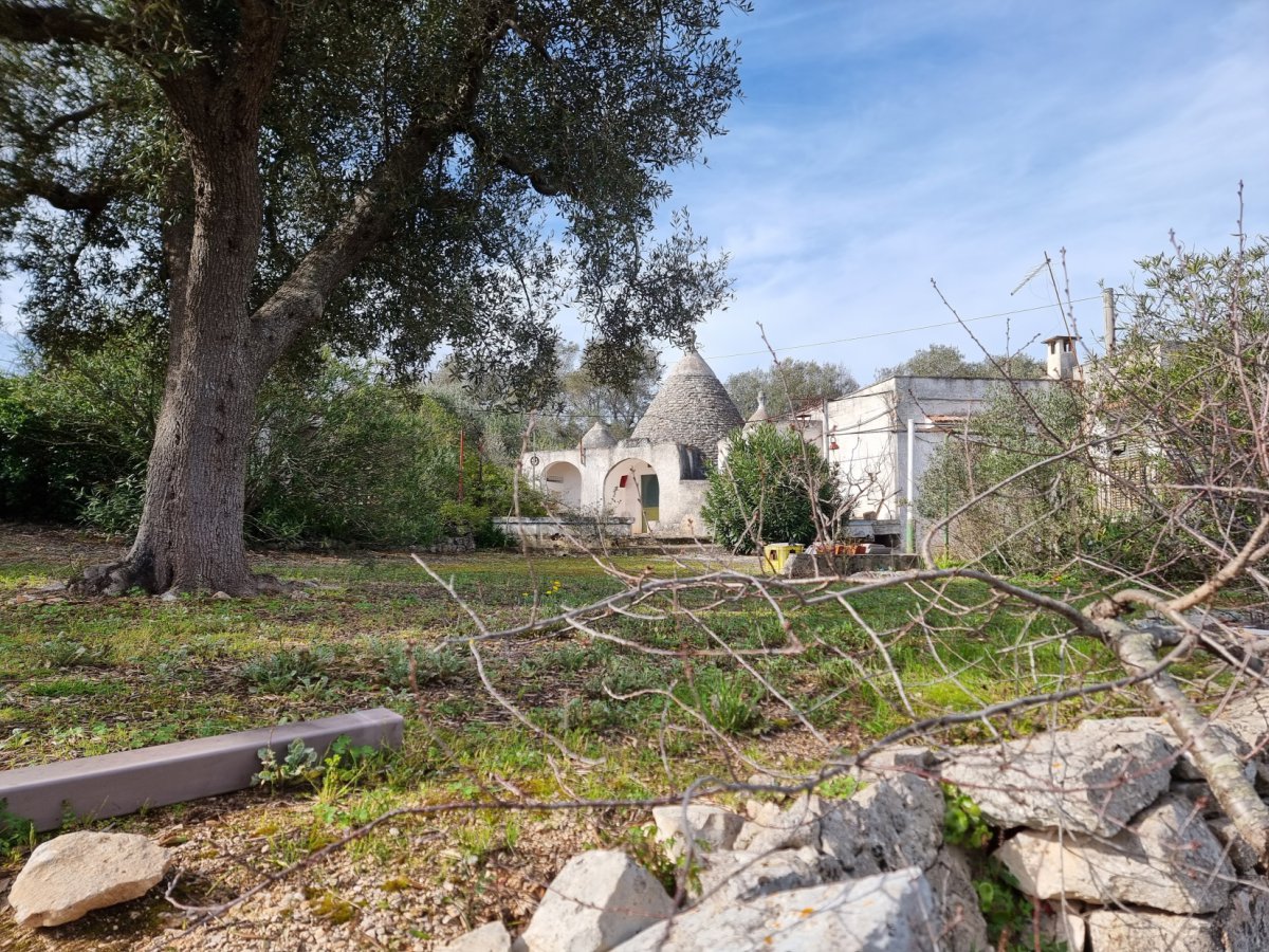 Detached for Sale Ostuni Brindisi, Sale Detached Ostuni