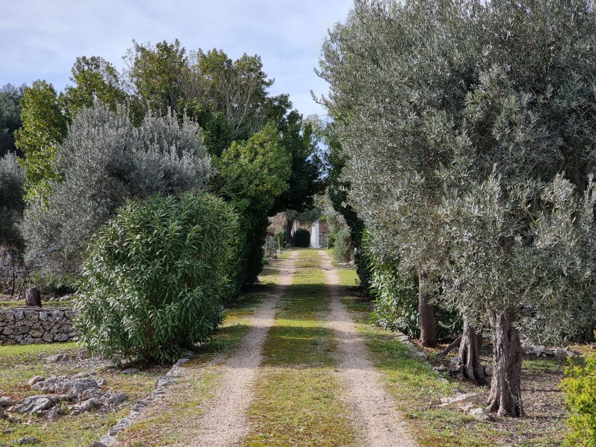 Detached for Sale Ostuni Brindisi, Sale Detached Ostuni