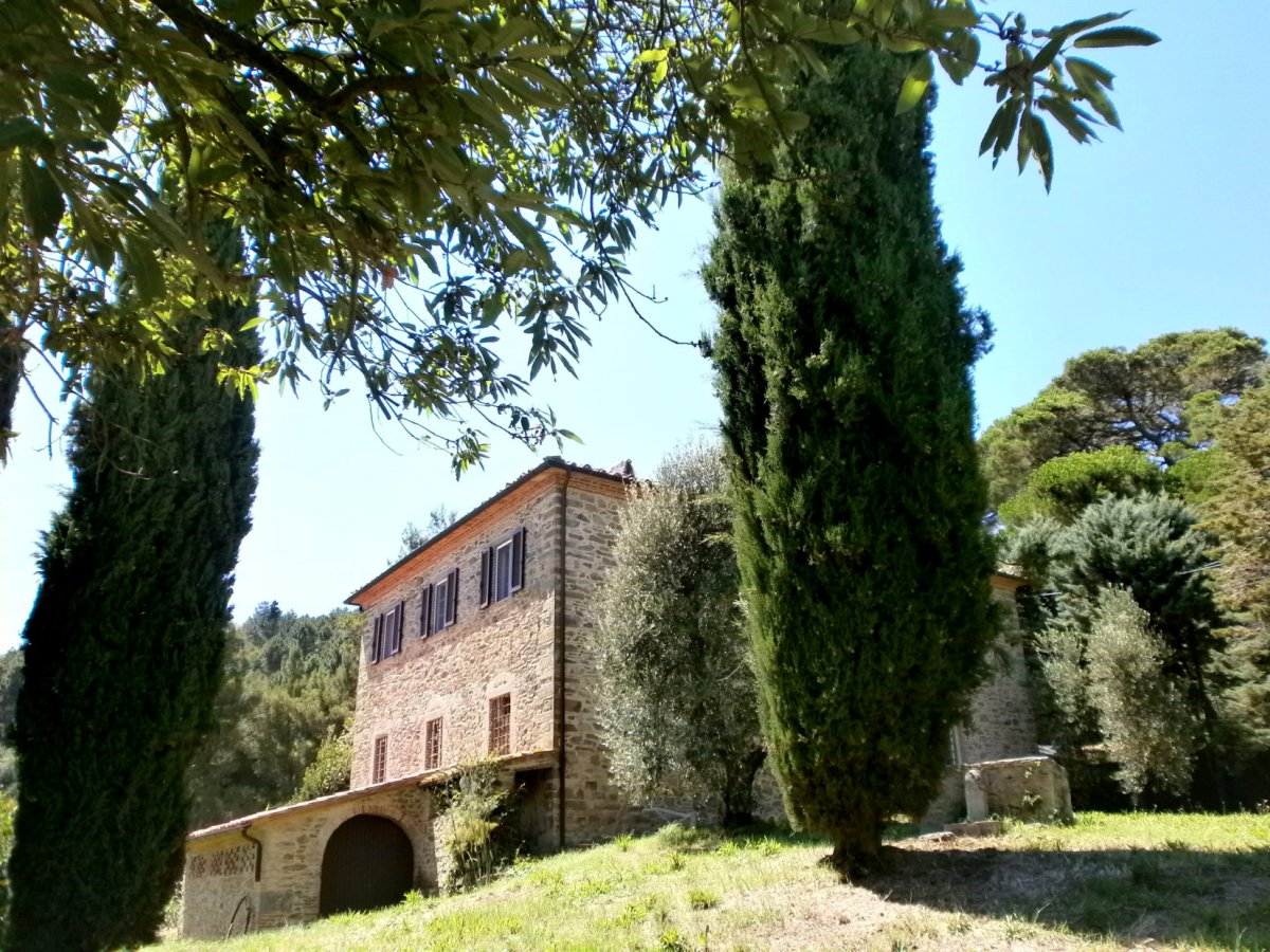 Detached for Sale Chianni Pisa, Sale Detached Chianni