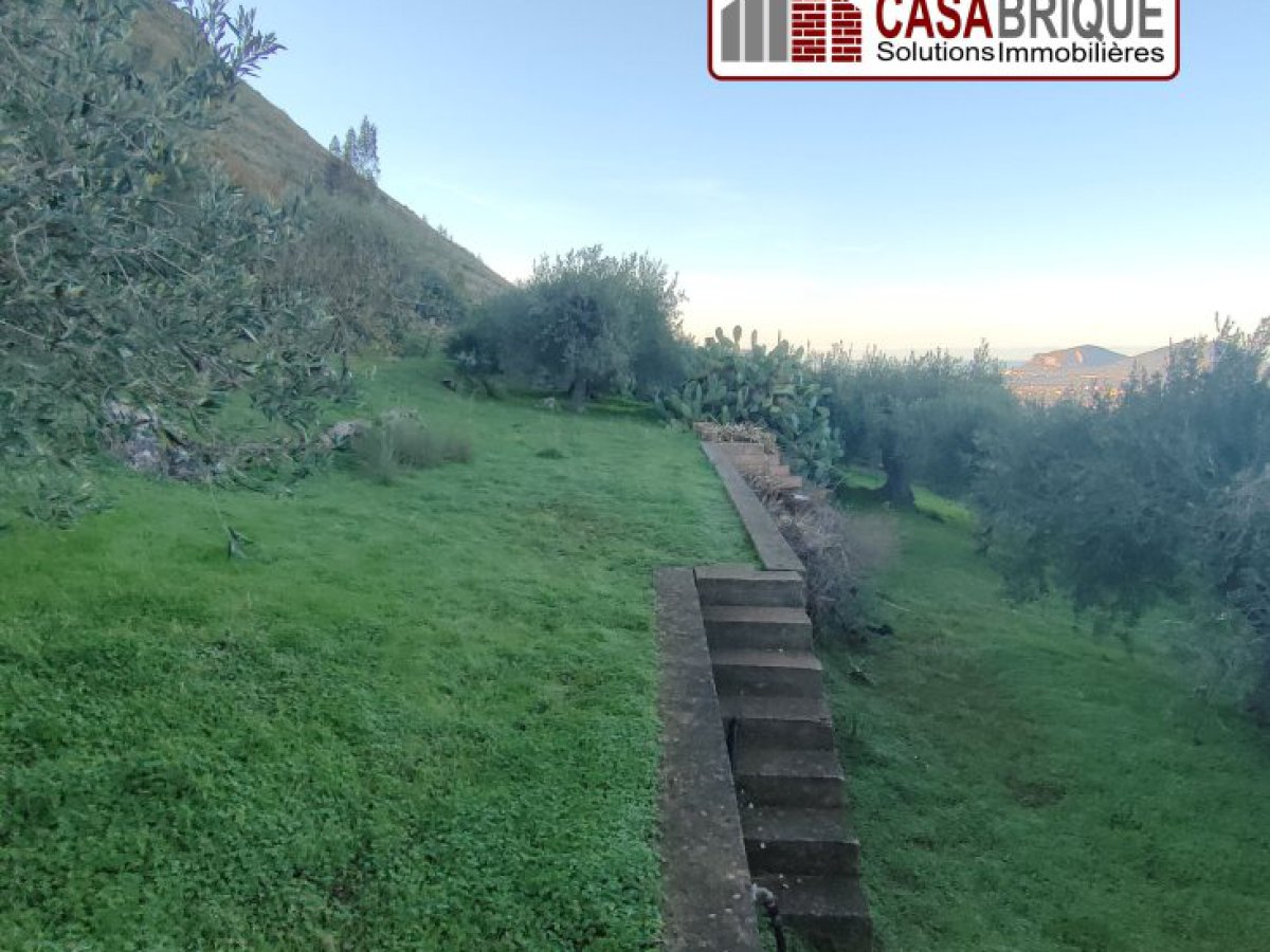 Villa for Rent Altavilla Milicia Palermo, Rent Villa Altavilla Milicia