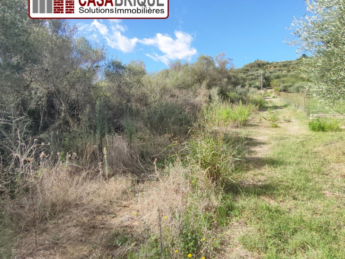 Land for Sale Campofelice di Roccella Palermo, Sale Land Campofelice di Roccella