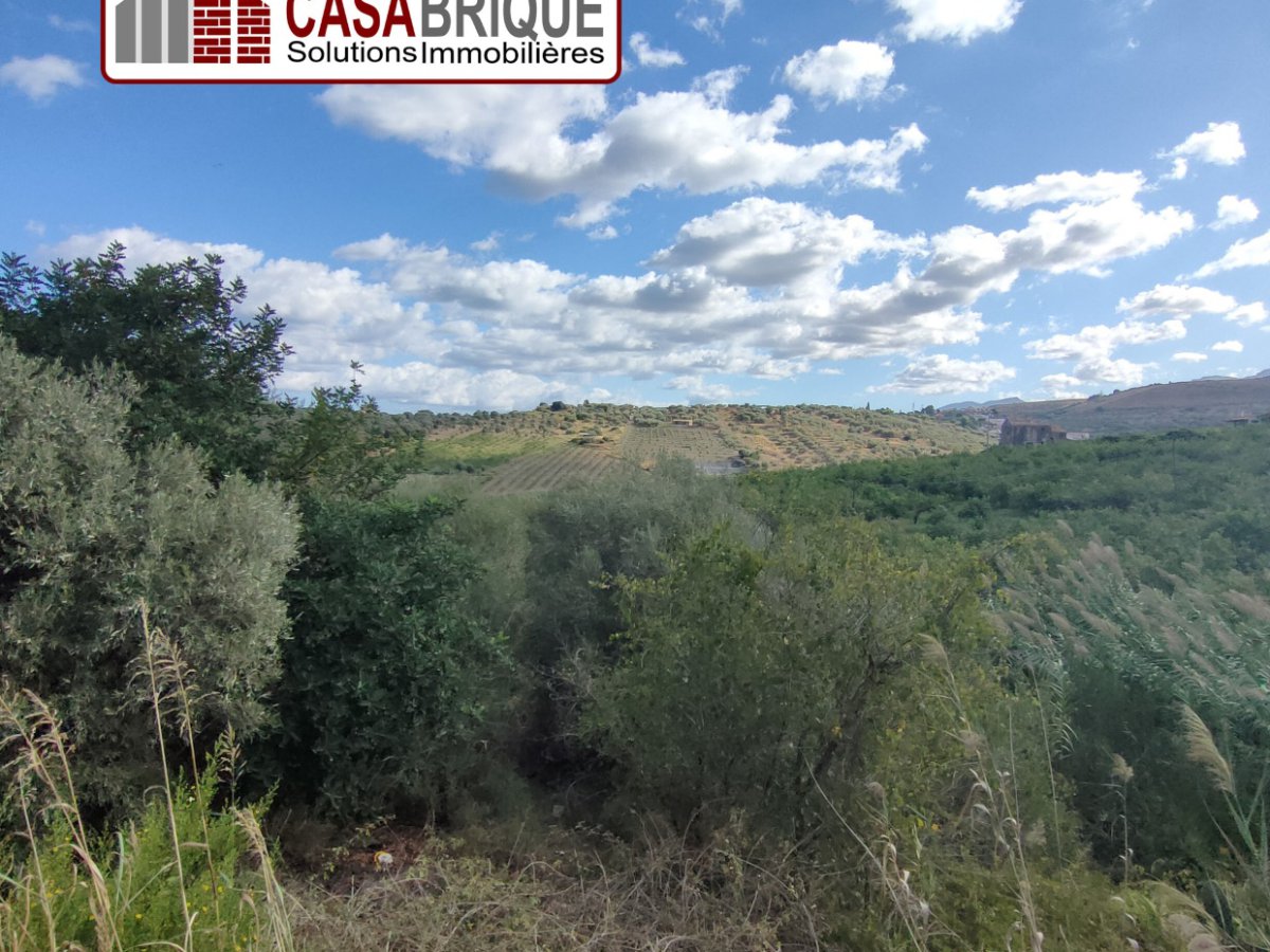 Land for Sale Campofelice di Roccella Palermo, Sale Land Campofelice di Roccella