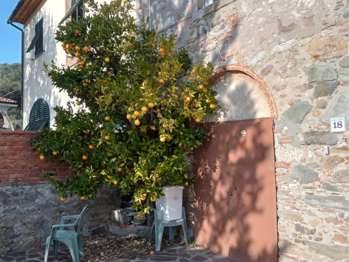Cottage/Hamlet for Sale Capannori Lucca, Sale Cottage/Hamlet Capannori