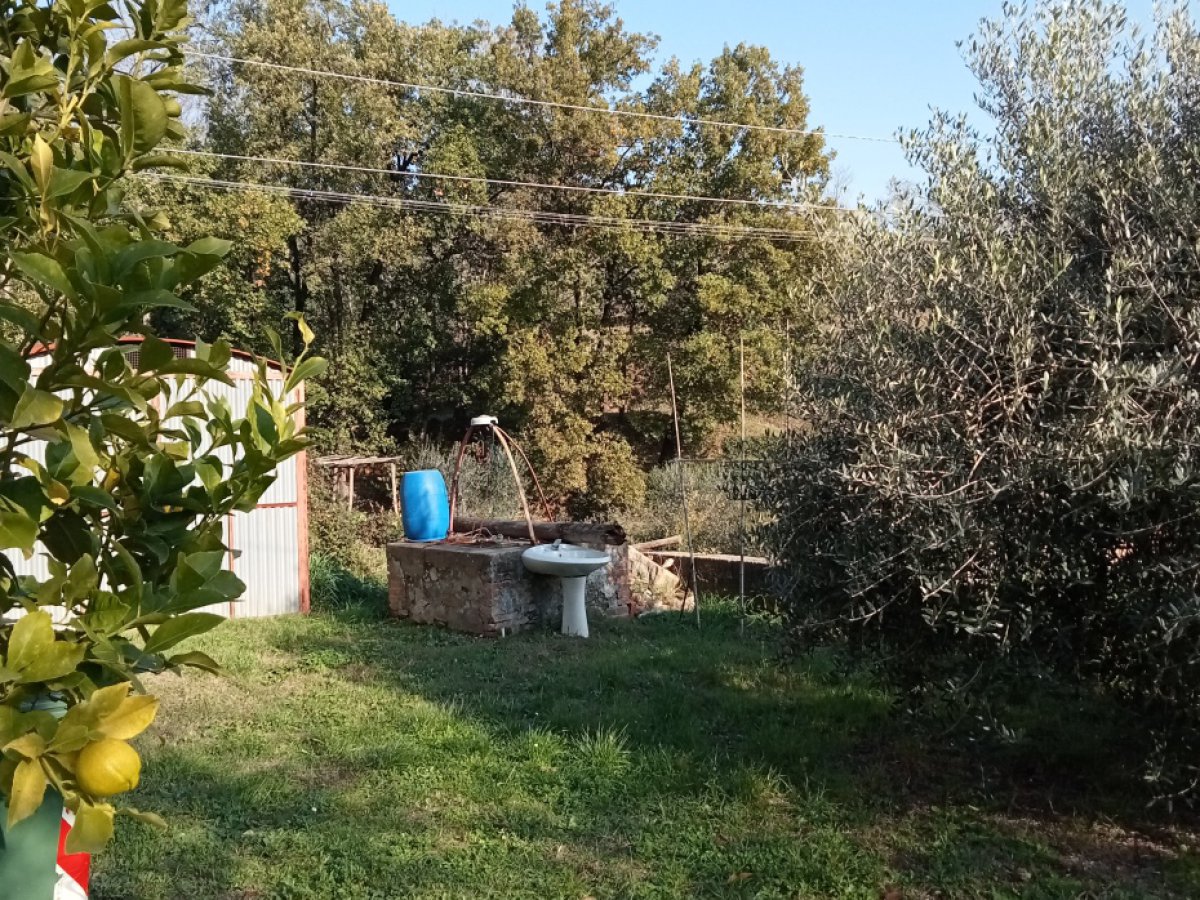 Cottage/Hamlet for Sale Capannori Lucca, Sale Cottage/Hamlet Capannori
