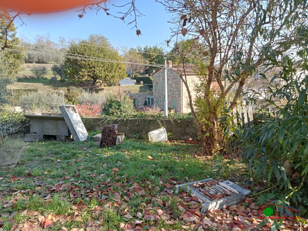 Cottage/Hamlet for Sale Capannori Lucca, Sale Cottage/Hamlet Capannori