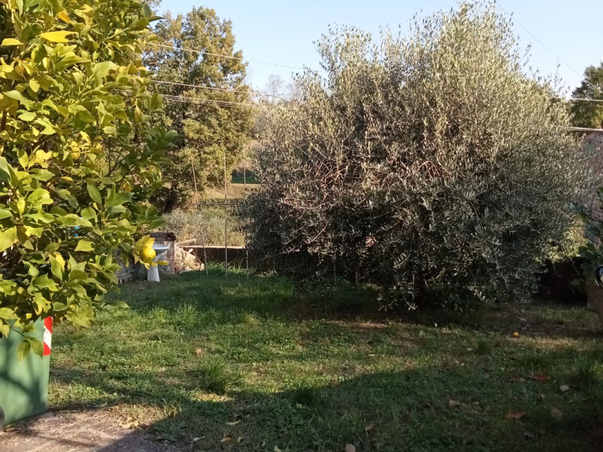Cottage/Hamlet for Sale Capannori Lucca, Sale Cottage/Hamlet Capannori