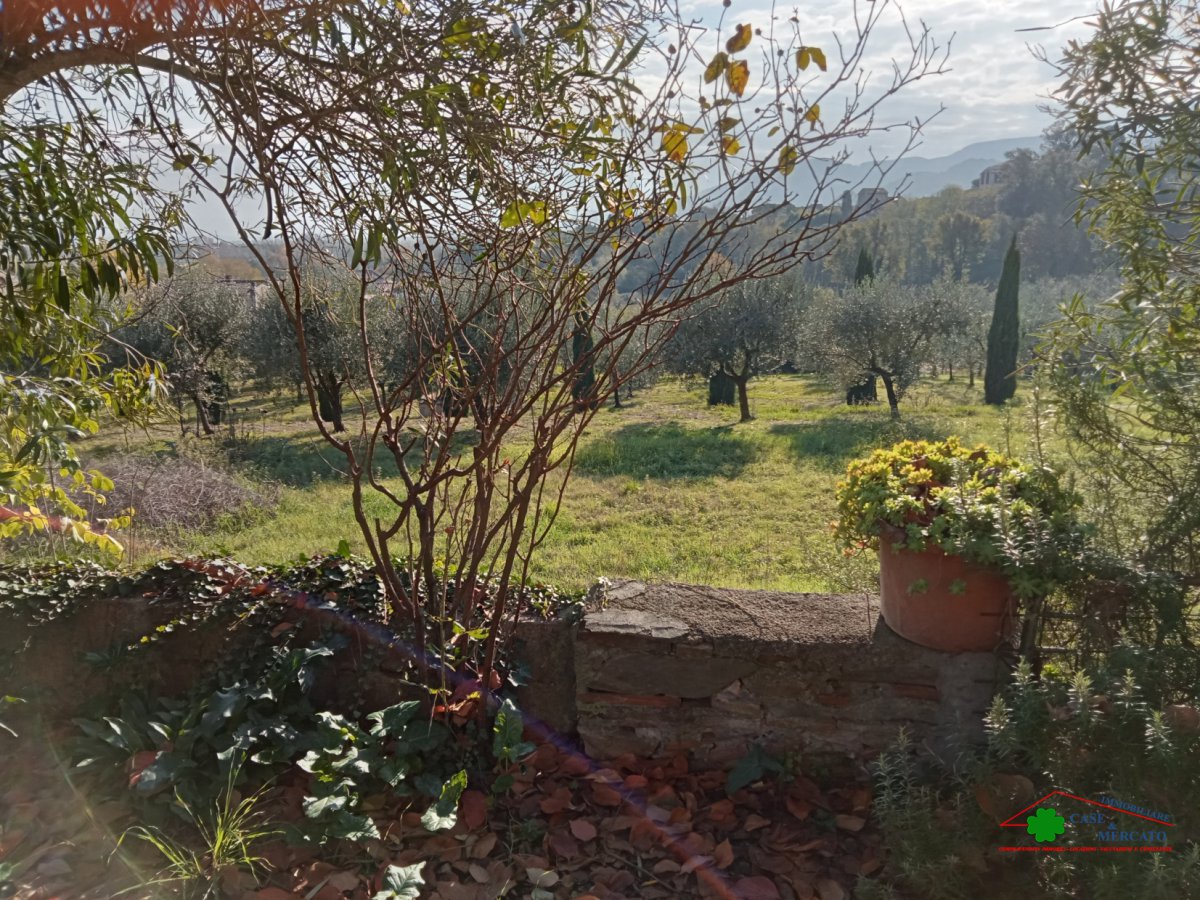 Cottage/Hamlet for Sale Capannori Lucca, Sale Cottage/Hamlet Capannori