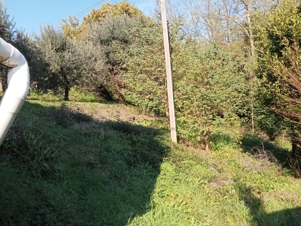 Cottage/Hamlet for Sale Capannori Lucca, Sale Cottage/Hamlet Capannori