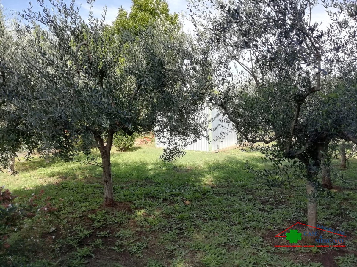 Semi-detached house for Sale Capannori Lucca, Sale Semi-detached house Massa Macinaia
