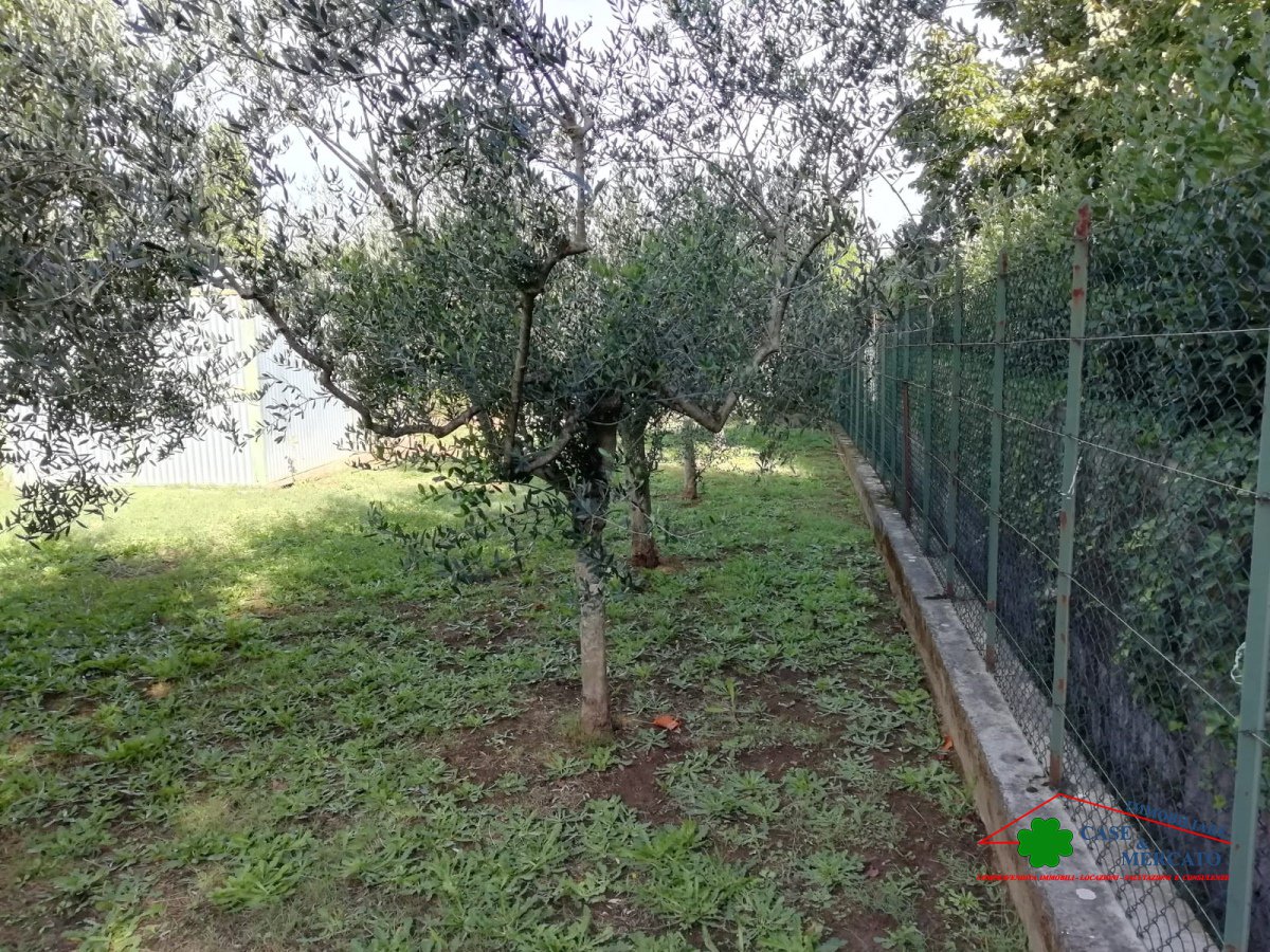 Semi-detached house for Sale Capannori Lucca, Sale Semi-detached house Massa Macinaia