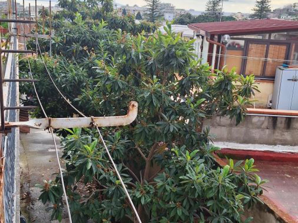 Semi-detached house for Sale Messina Messina, Sale Semi-detached house Messina