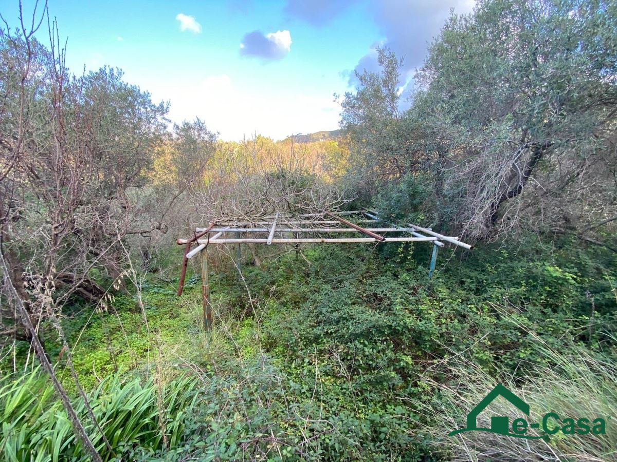 Building area for Sale Messina Messina, Sale Building area Messina