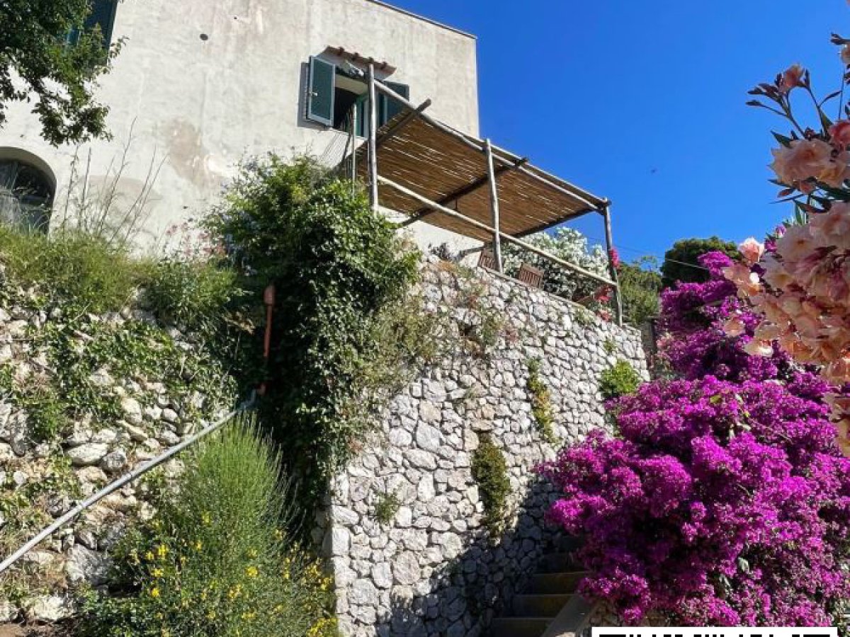 Villa for Sale Capri Naples, Sale Villa Capri