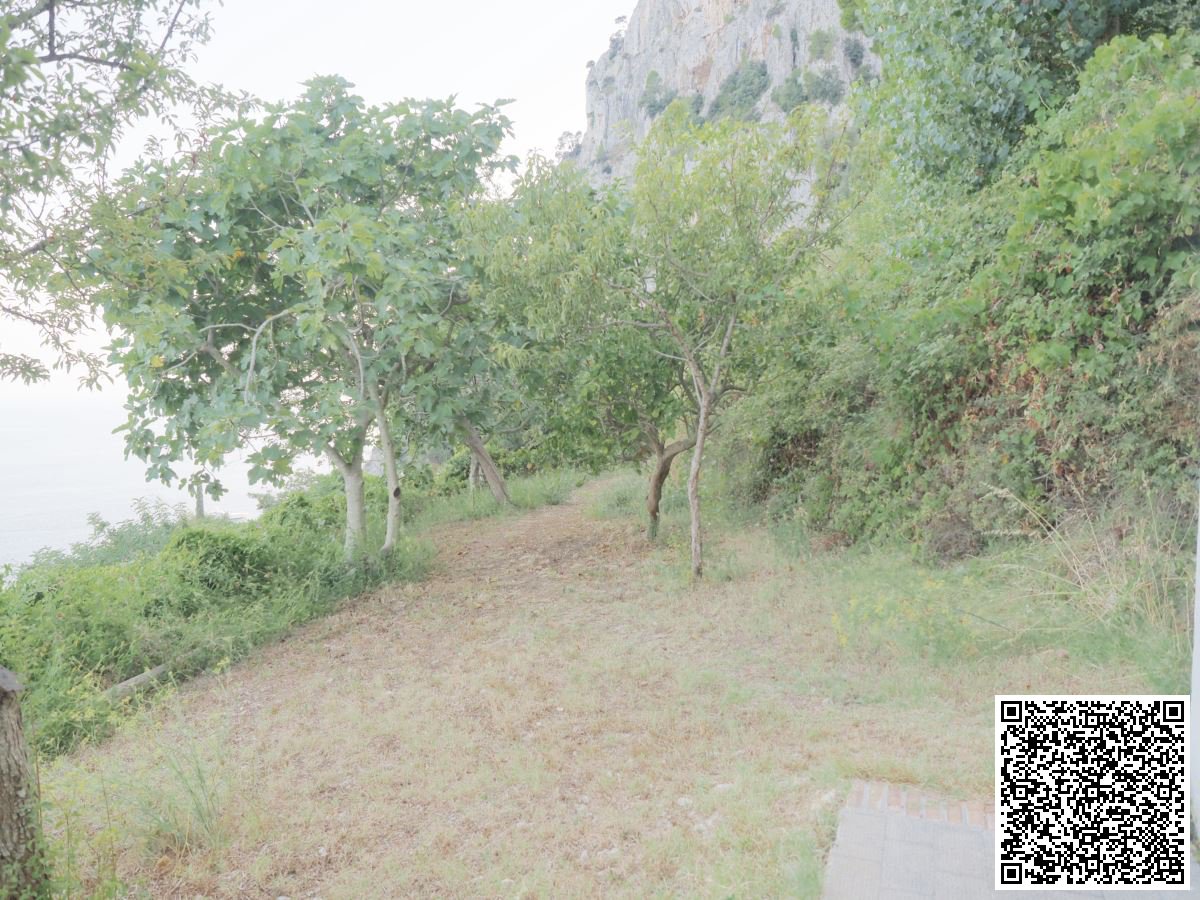 Villa for Sale Capri Naples, Sale Villa Capri