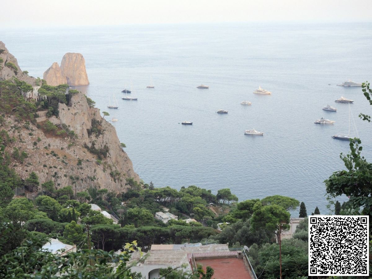 Villa for Sale Capri Naples, Sale Villa Capri