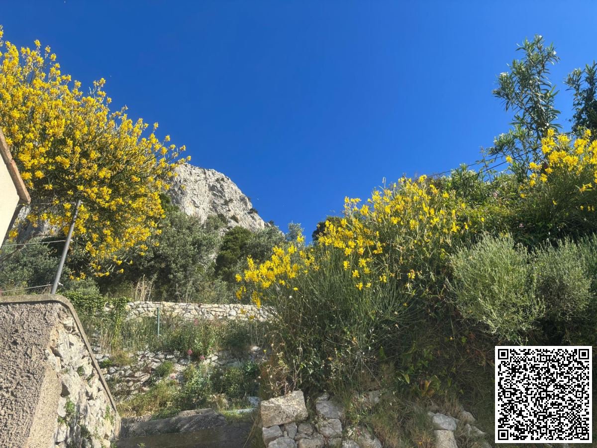 Villa for Sale Capri Naples, Sale Villa Capri
