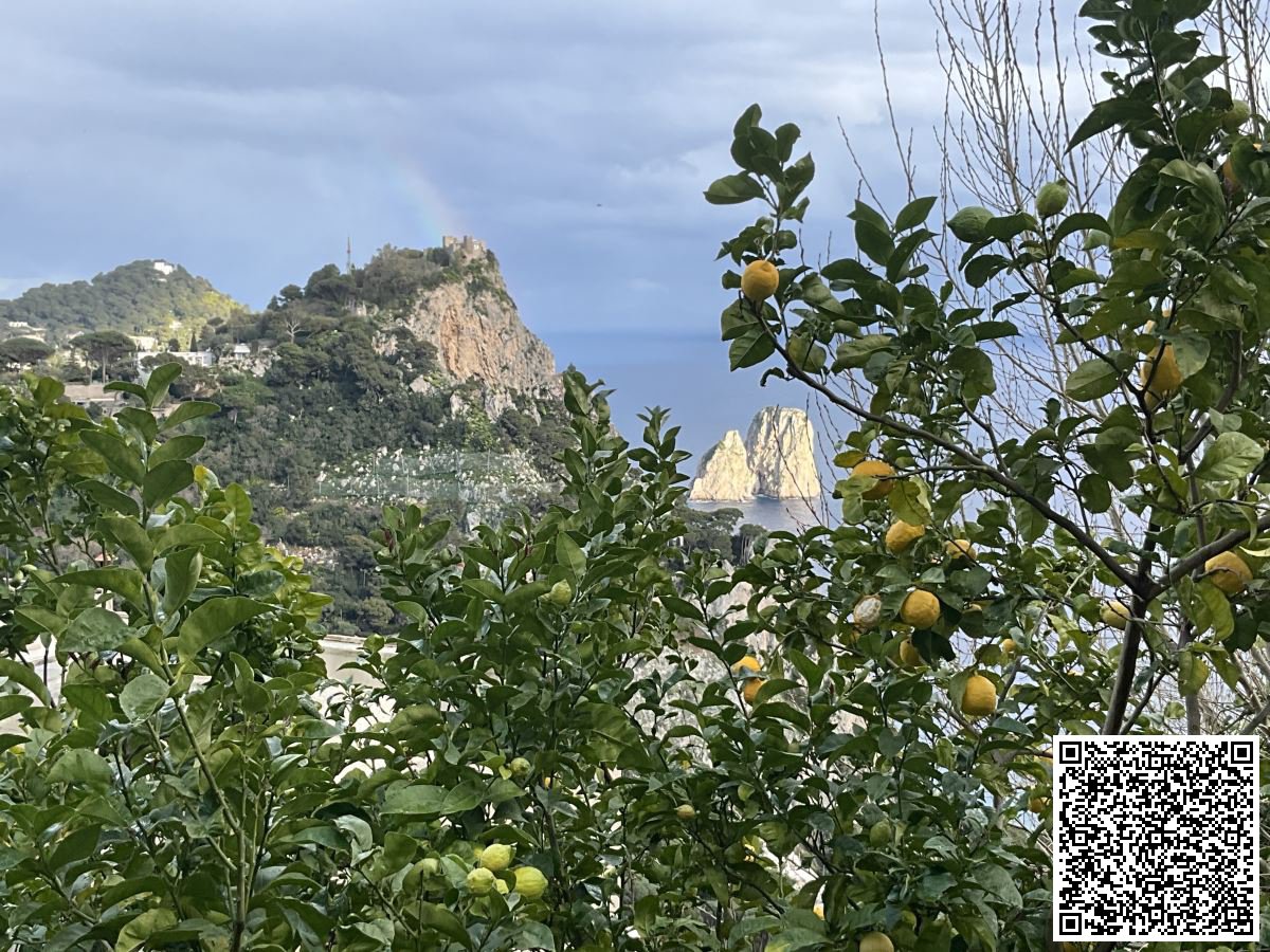 Villa for Sale Capri Naples, Sale Villa Capri