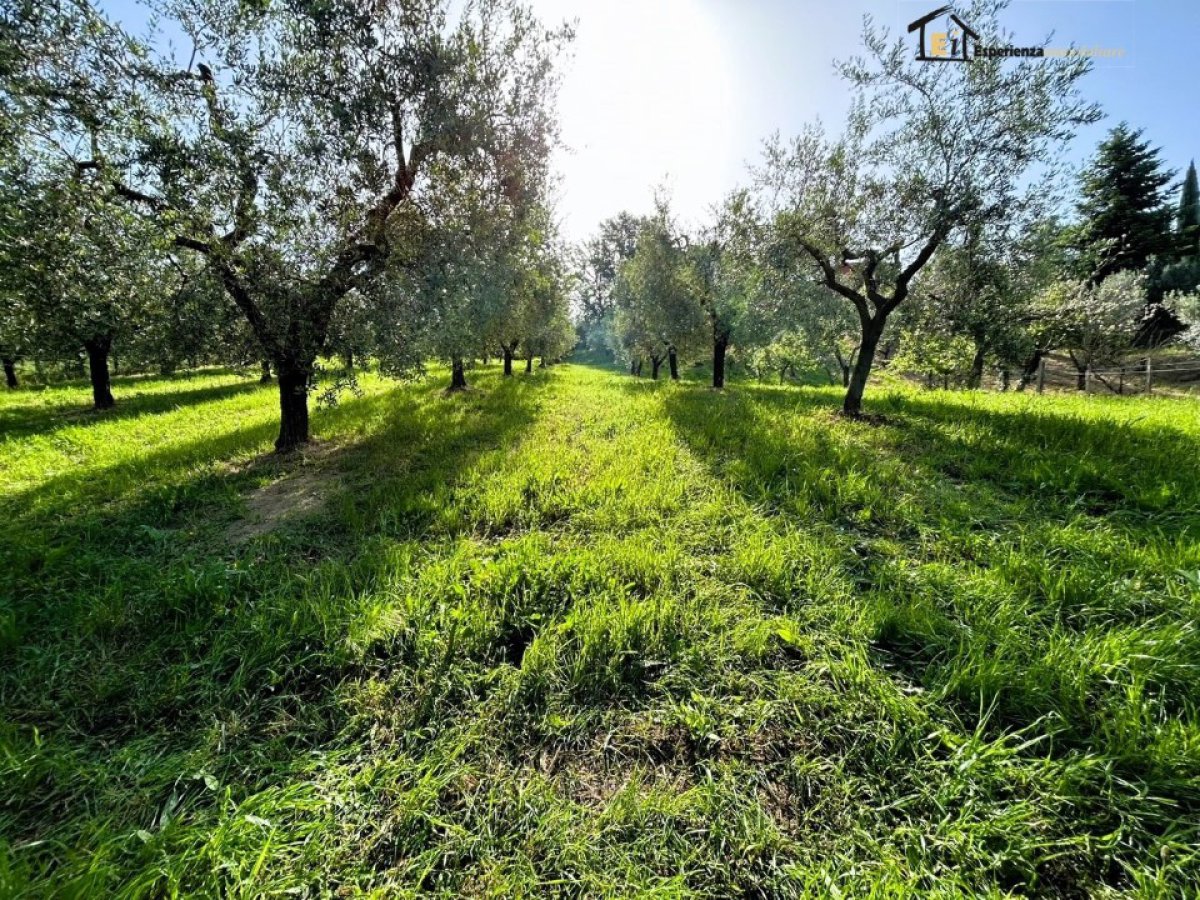 Land for Sale Poggio Mirteto Rieti, Sale Land San Luigi