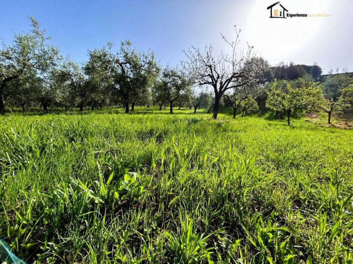 Land for Sale Poggio Mirteto Rieti, Sale Land San Luigi