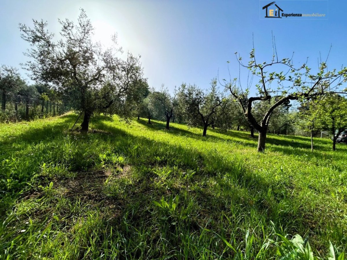 Land for Sale Poggio Mirteto Rieti, Sale Land San Luigi