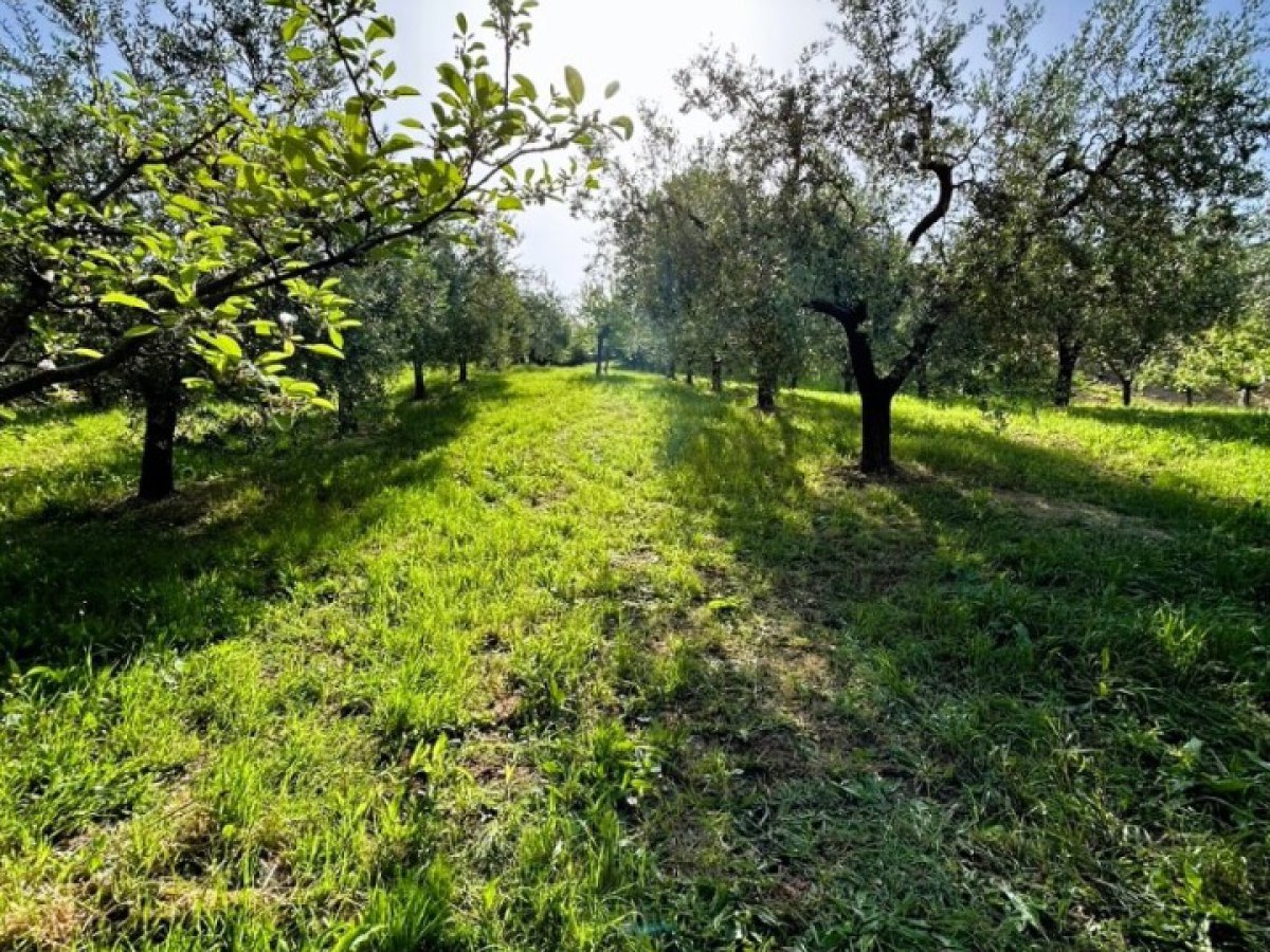 Land for Sale Poggio Mirteto Rieti, Sale Land San Luigi