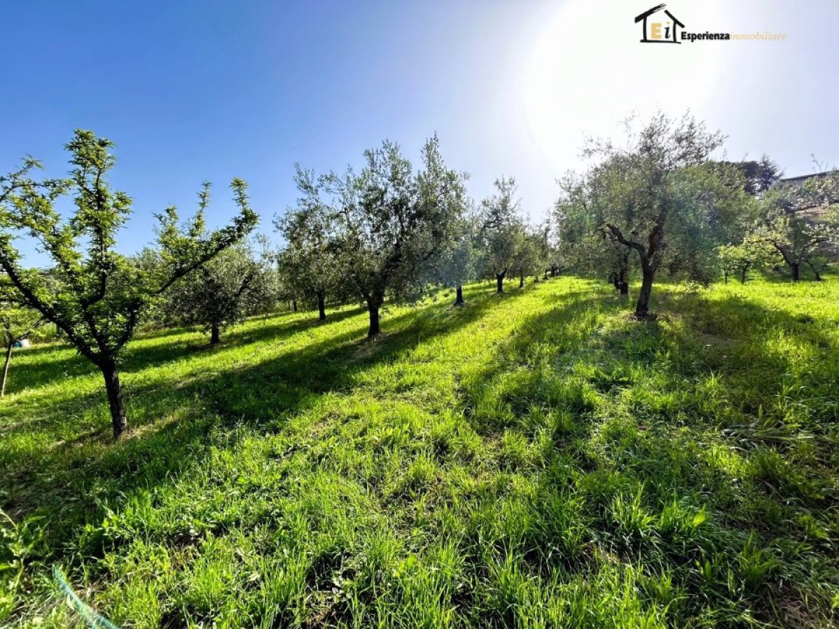 Land for Sale Poggio Mirteto Rieti, Sale Land San Luigi