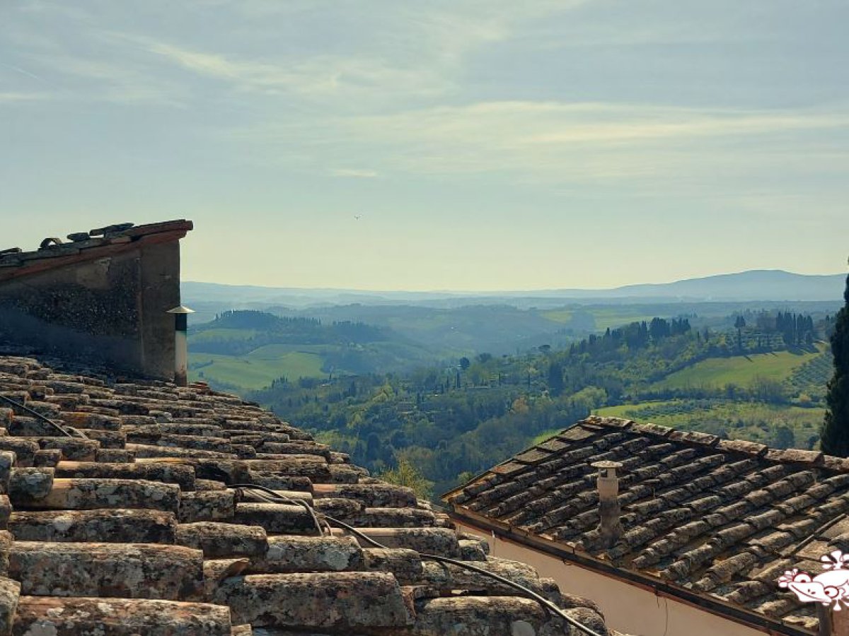 Apartament/Flats for Sale San Gimignano Siena, Sale Apartament/Flats San Gimignano