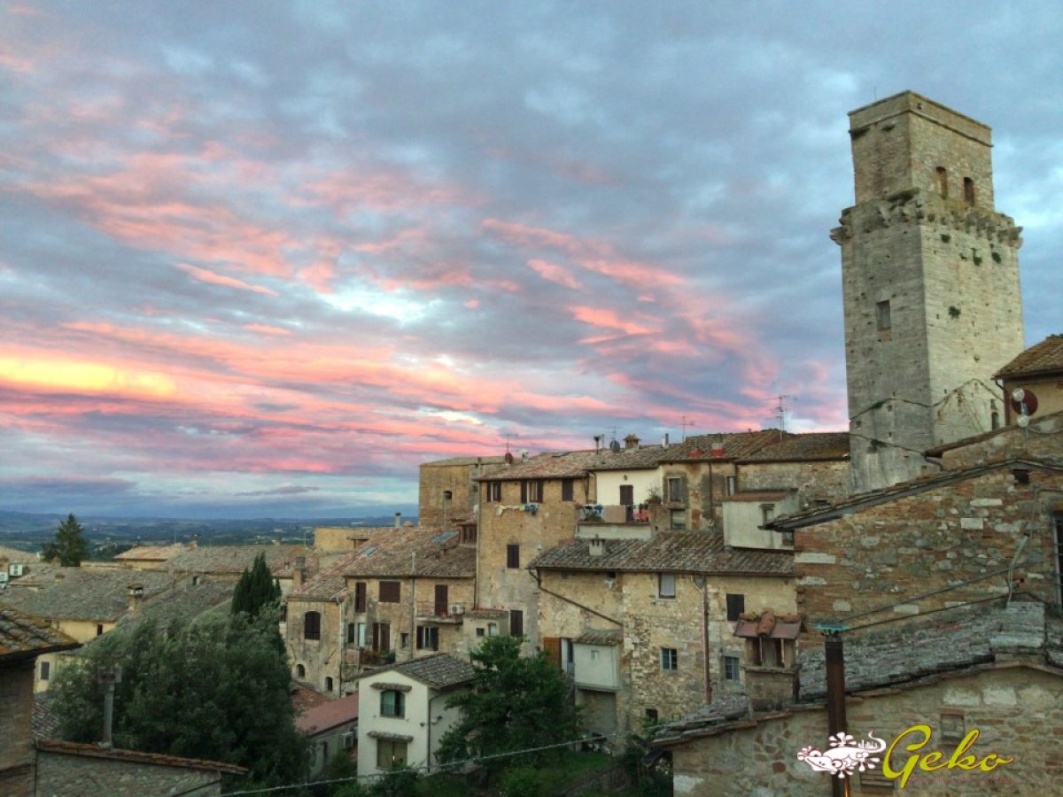 Apartament/Flats for Sale San Gimignano Siena, Sale Apartament/Flats San Gimignano